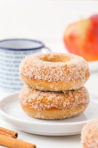 Gluten Free Cinnamon Sugar Donuts from Texanerin